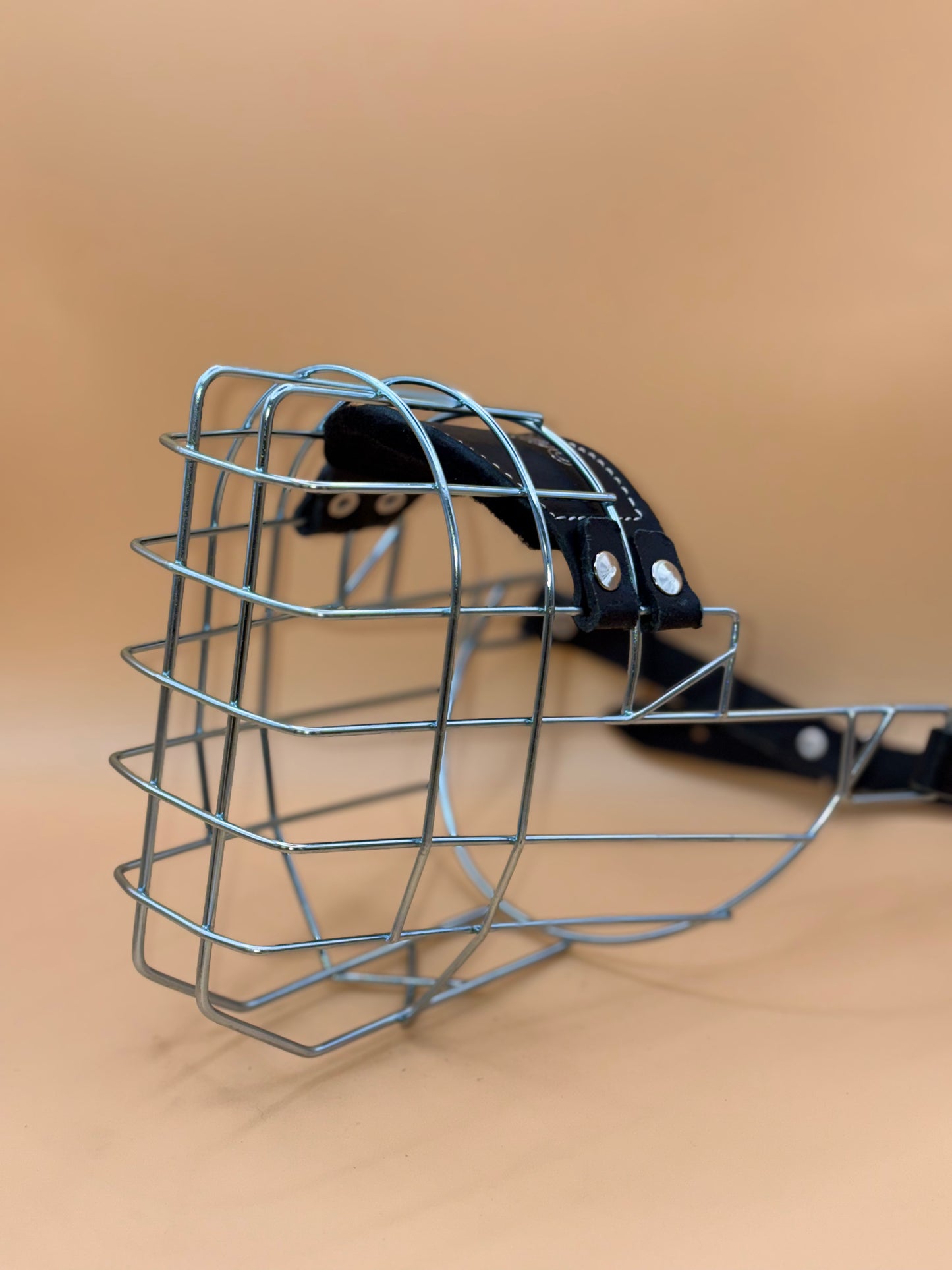 Schäferhund Mittel - Chopo