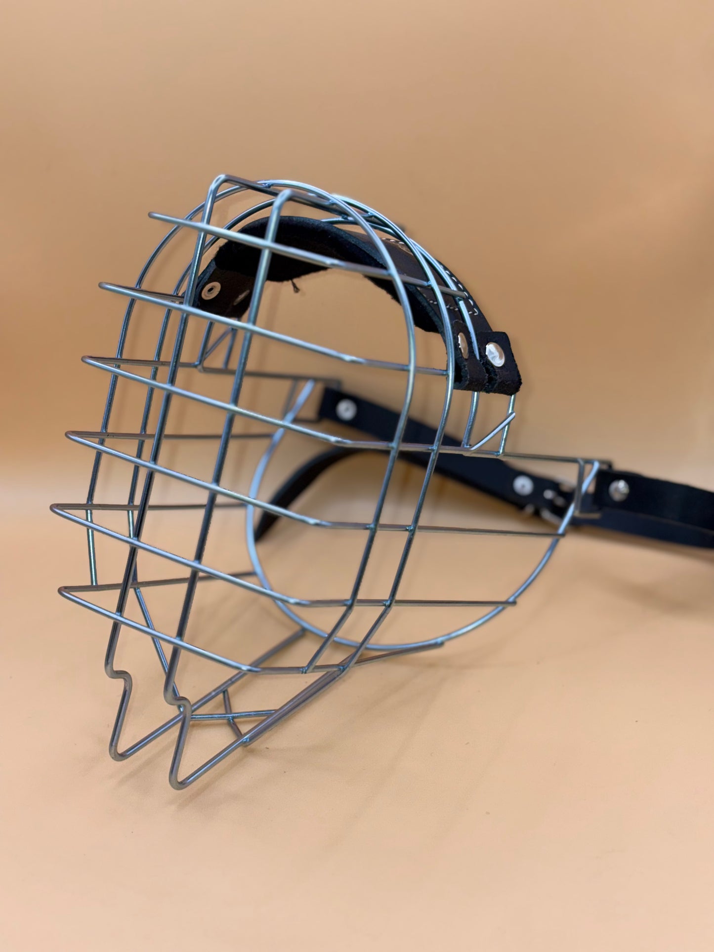 Riesenschnauzer Rüde - Chopo