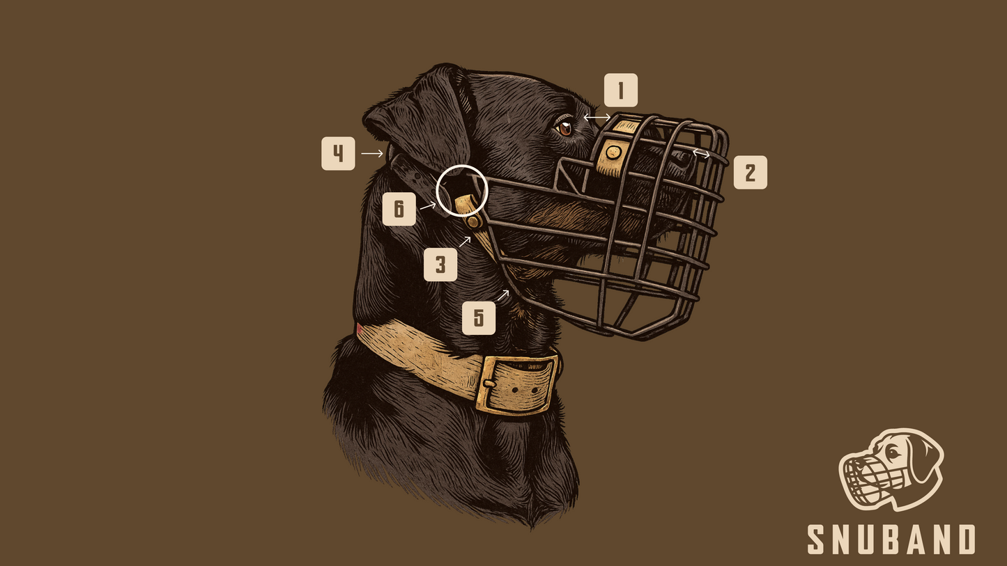 Snuband Hundemaul korb Produktdiagramm - 6 Hauptmerkmale erklärt an schwarzem Labrador mit beigem Basket-Maulkorb