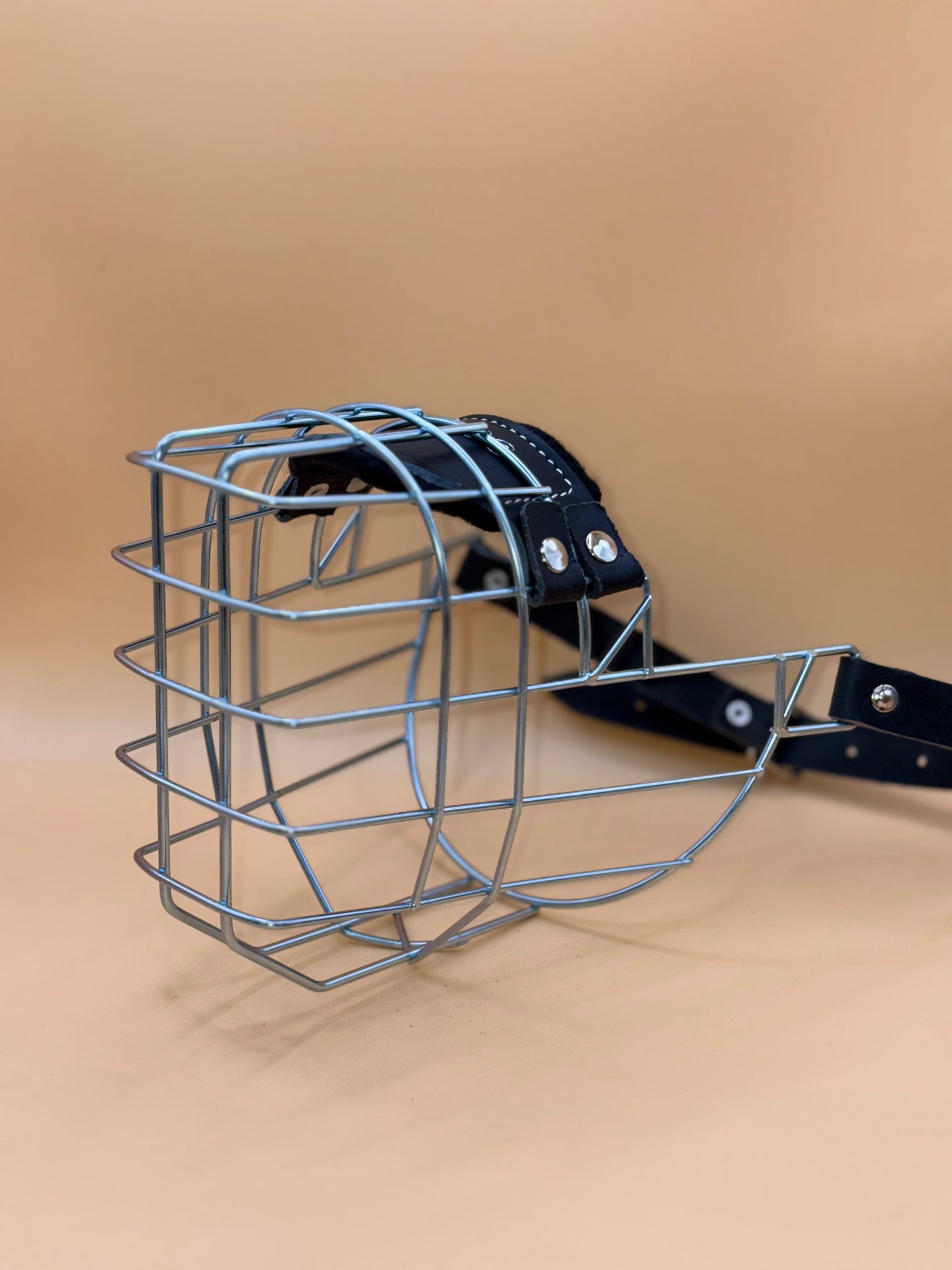 Schäferhündin - Chopo