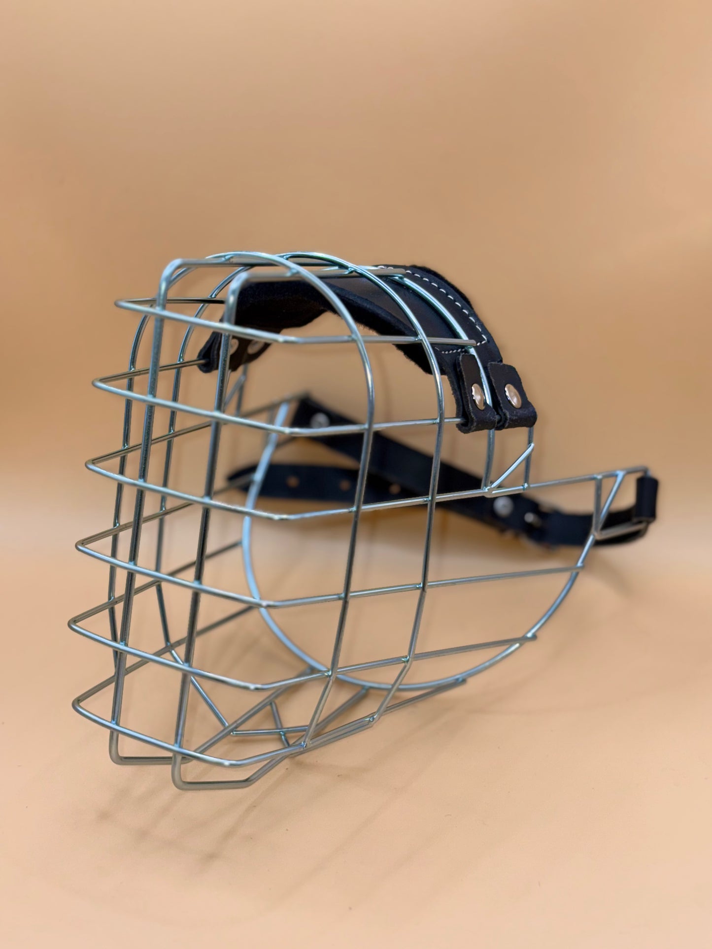 Schäferhund Rüde - Chopo